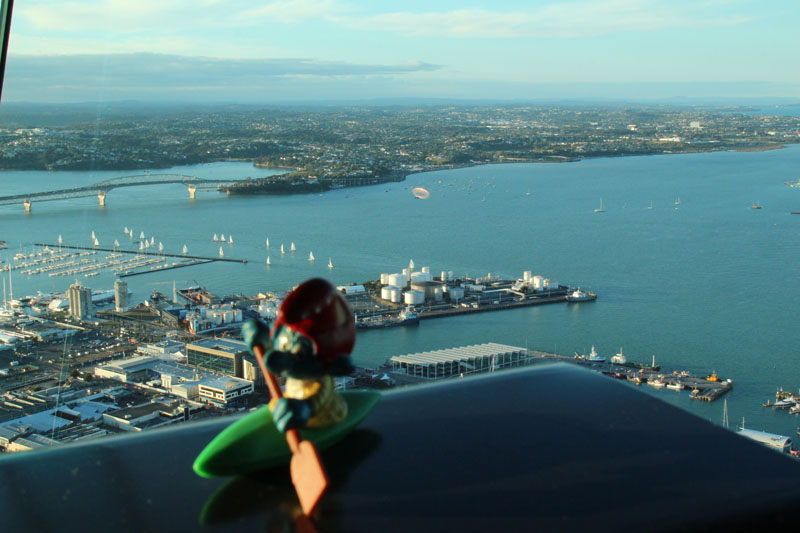 Überblick vom Skytower in Auckland